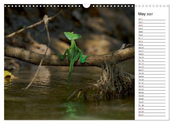 Produktbild: Feel the Wild &ndash; Costa Rica (Wall Calendar 2027 DIN A3 landscape), CALVENDO 12 Month Wall Calendar