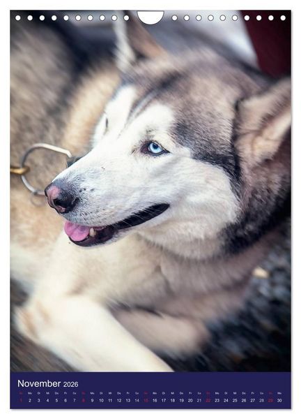 Produktbild: Huskies - Artwork (Wandkalender 2026 DIN A4 hoch), CALVENDO Monatskalender