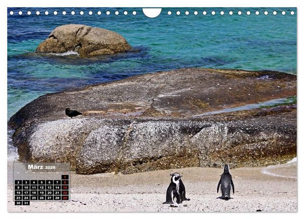 Produktbild: S&Uuml;DAFRIKA - Landschaften der Extreme (Wandkalender 2026 DIN A4 quer), CALVENDO Monatskalender