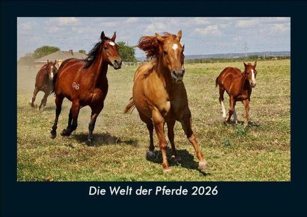 Die Welt der Pferde 2026 Fotokalender DIN A5