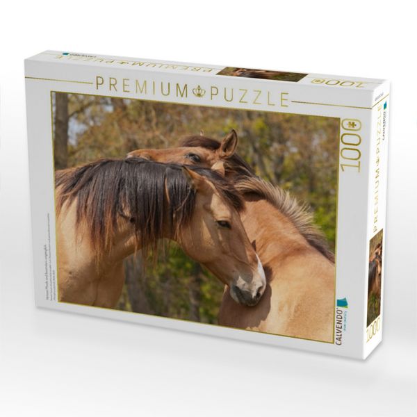 Produktbild: CALVENDO Puzzle Henson Pferde sind besonders umg&auml;nglich | 1000 Teile Lege-Gr&ouml;&szlig;e 64x48cm Foto-Puzzle f&uuml;r gl&uuml;ckliche Stunden