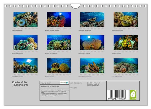 Produktbild: Korallen-Riffe Tauchertr&auml;ume (Wandkalender 2026 DIN A4 quer), CALVENDO Monatskalender