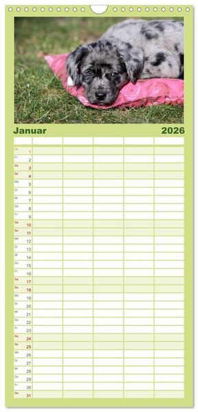 Produktbild: Familienplaner 2026 - Der Hundewelpen-Geburtstagskalender mit 5 Spalten (Wandkalender, 21 x 45 cm) CALVENDO