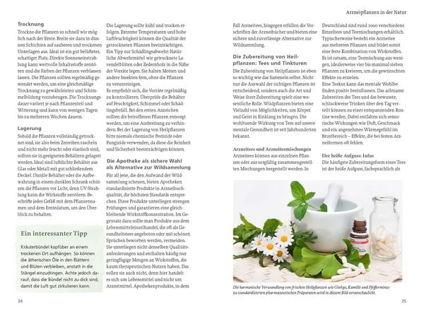 Produktbild: Wildpflanzen f&uuml;r die mentale Gesundheit
