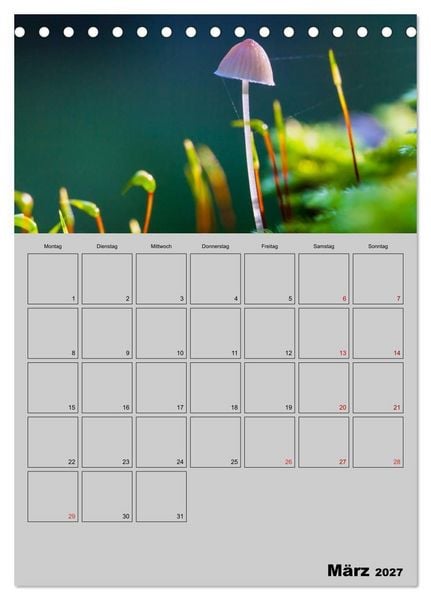Produktbild: Quer durch die Pilze (Tischkalender 2027 DIN A5 hoch), CALVENDO Monatskalender