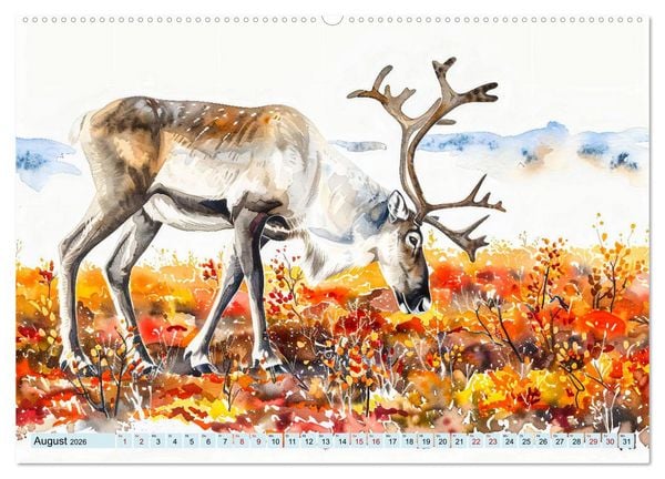 Produktbild: Eisige Polarkreise - Faszination der polaren Tierwelt (hochwertiger Premium Wandkalender 2026 DIN A2 quer), Kunstdruck in Hochglanz