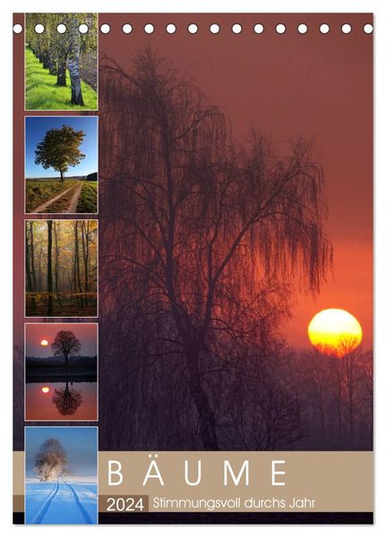 Bäume - Stimmungsvoll durchs Jahr (Tischkalender 2024 DIN A5 hoch), CALVENDO Monatskalender