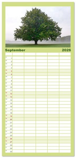 Produktbild: Familienplaner 2026 - Die Buche: 12 Baumportr&auml;ts mit 5 Spalten (Wandkalender, 21 x 45 cm) CALVENDO
