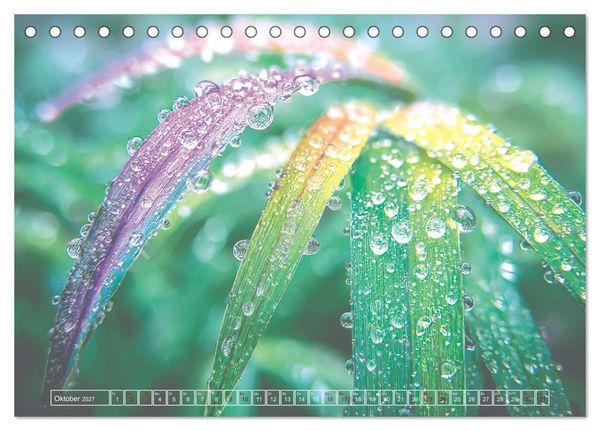 Produktbild: Lichtspiele der Natur (Tischkalender 2027 DIN A5 quer), CALVENDO Monatskalender