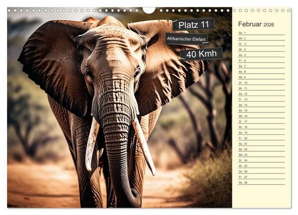 Produktbild: Wer rennt am schnellsten? (Wandkalender 2026 DIN A3 quer), CALVENDO Monatskalender