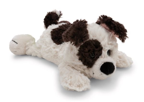 Produktbild: NICI - Kuscheltier Hund wei&szlig; 20cm liegend