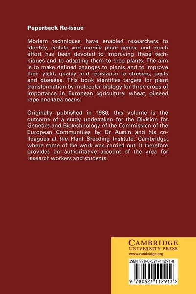 Produktbild: Molecular Biology and Crop Improvement