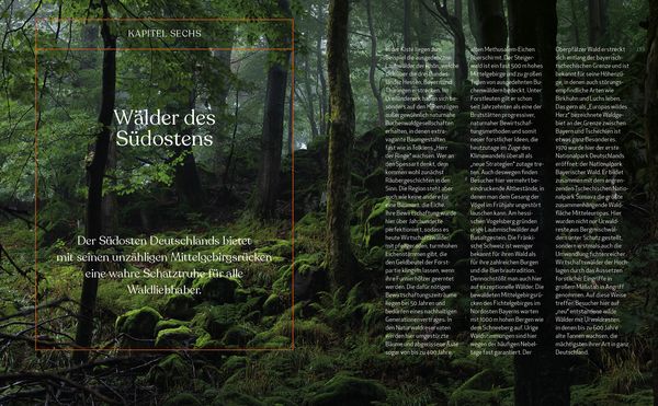 Produktbild: Wild Guide Deutsche W&auml;lder