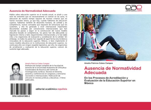 Produktbild: Ausencia de Normatividad Adecuada