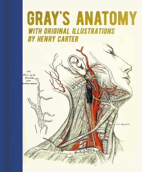 Produktbild: Gray's Anatomy