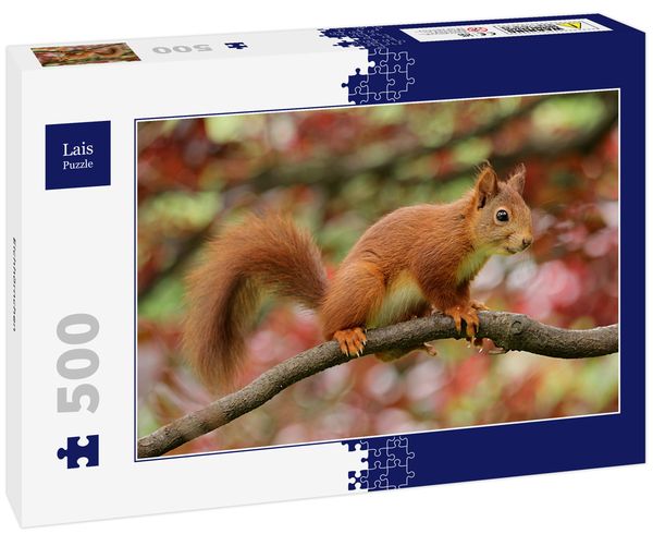 Lais Puzzle Eichhörnchen 500 Teile