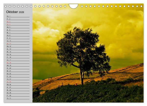 Produktbild: Magische B&auml;ume (Wandkalender 2026 DIN A4 quer), CALVENDO Monatskalender