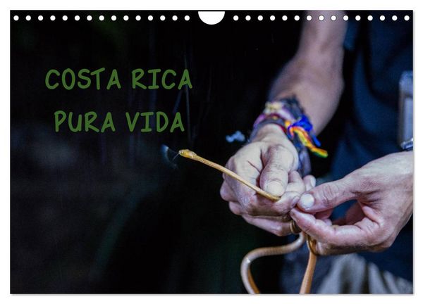 Produktbild: COSTA RICA - PURA VIDA (Wandkalender 2026 DIN A4 quer), CALVENDO Monatskalender