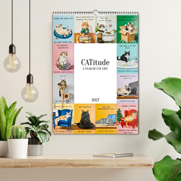 Produktbild: CATitude A YEAR OF CAT LIFE (Wall Calendar 2027 DIN A2 portrait), CALVENDO 12 Month Wall Calendar