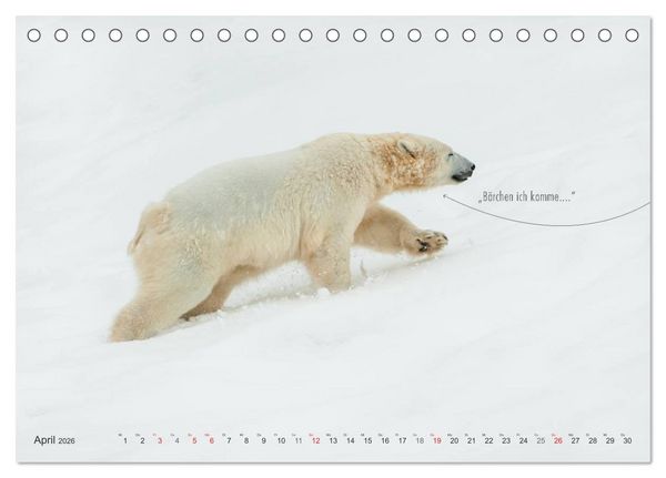 Produktbild: Emotionale Momente: Eisb&auml;ren - ganz menschlich gesehen. (Tischkalender 2026 DIN A5 quer), CALVENDO Monatskalender
