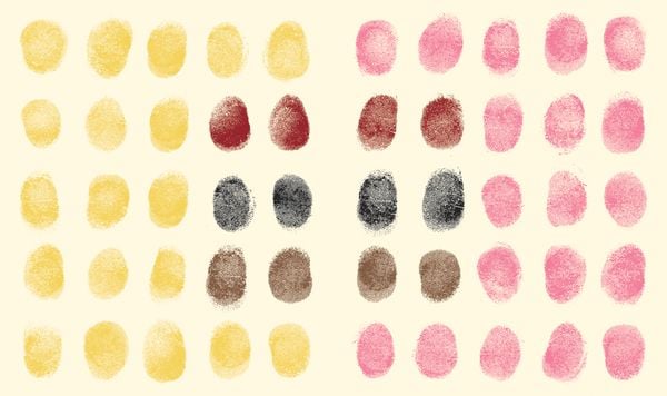 Produktbild: Fingerprint