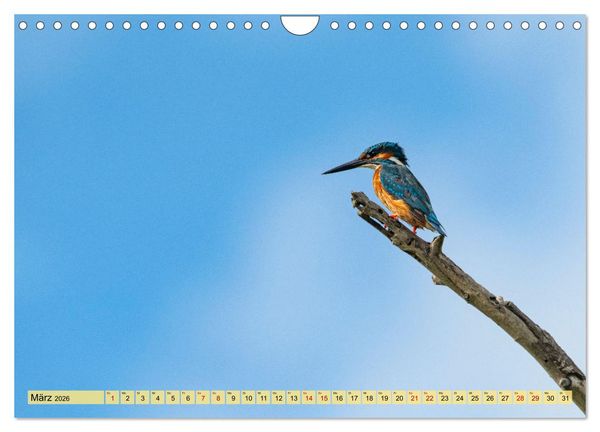 Produktbild: Donaudelta - Europas gro&szlig;es Vogelparadies (Wandkalender 2026 DIN A4 quer), CALVENDO Monatskalender