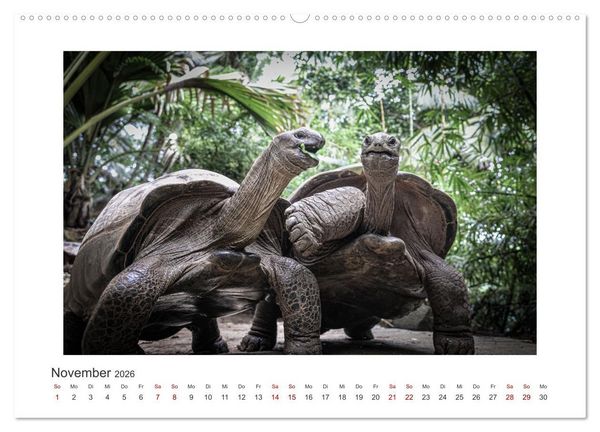 Produktbild: Seychellen - unterwegs mit Julia Hahn (Wandkalender 2026 DIN A2 quer), CALVENDO Monatskalender