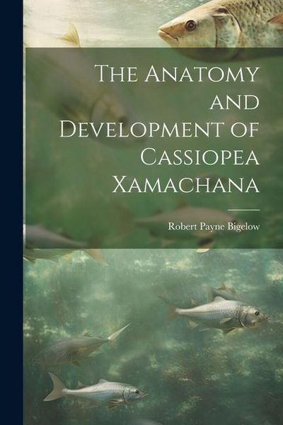 Produktbild: The Anatomy and Development of Cassiopea Xamachana