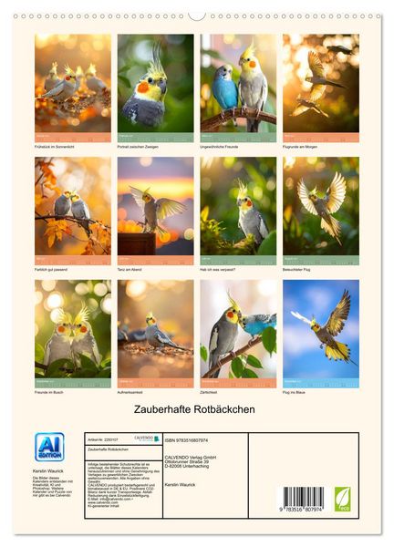 Produktbild: Zauberhafte Rotb&auml;ckchen (hochwertiger Premium Wandkalender 2027 DIN A2 hoch), Kunstdruck in Hochglanz