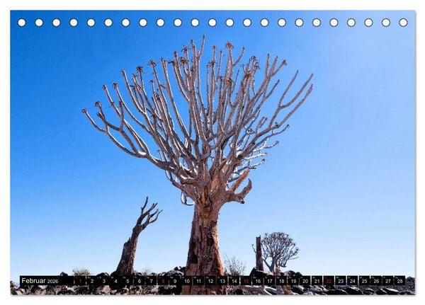 Produktbild: S&uuml;dliches Afrika - Vom Kap bis zu den Victoria F&auml;llen (Tischkalender 2026 DIN A5 quer), CALVENDO Monatskalender