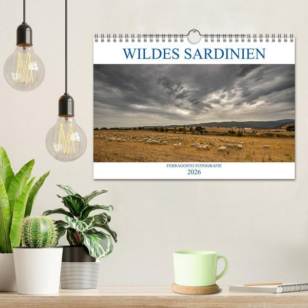 Produktbild: Wildes Sardinien 2026 (Wandkalender 2026 DIN A4 quer), CALVENDO Monatskalender