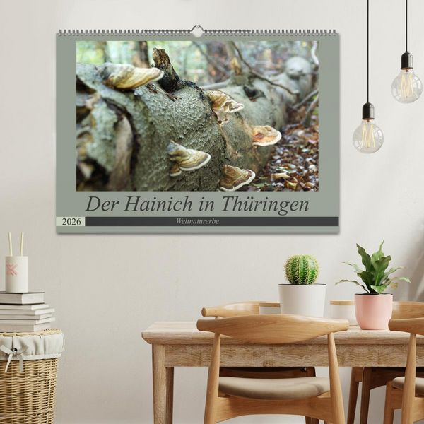 Produktbild: Der Hainich in Th&uuml;ringen - Weltnaturerbe (Wandkalender 2026 DIN A2 quer), CALVENDO Monatskalender