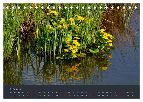 Produktbild: Heimat im Bremer Blockland (Tischkalender 2026 DIN A5 quer), CALVENDO Monatskalender