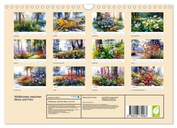 Produktbild: Wildblumen zwischen Moos und Farn (Wandkalender 2027 DIN A4 quer), CALVENDO Monatskalender
