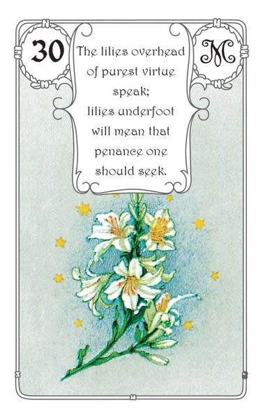 Produktbild: Mlle Lenormand - Red Owl
