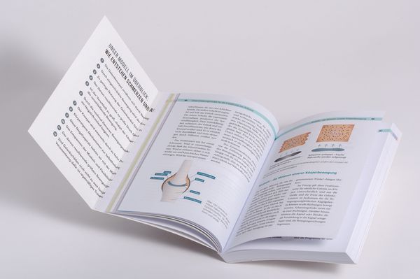 Die Arthrose-Lüge - Neuausgabe