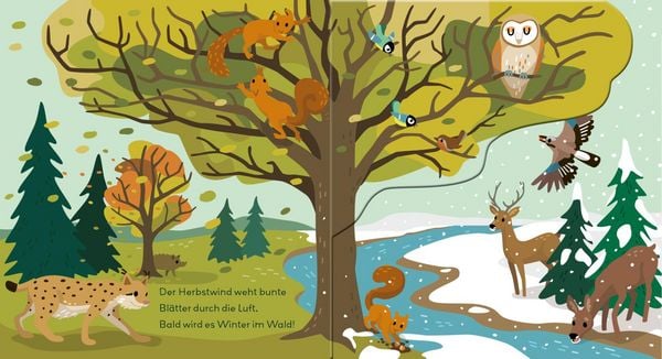 Produktbild: Baby Pixi (unkaputtbar) 178: Flippediflapp: Tiere im Wald