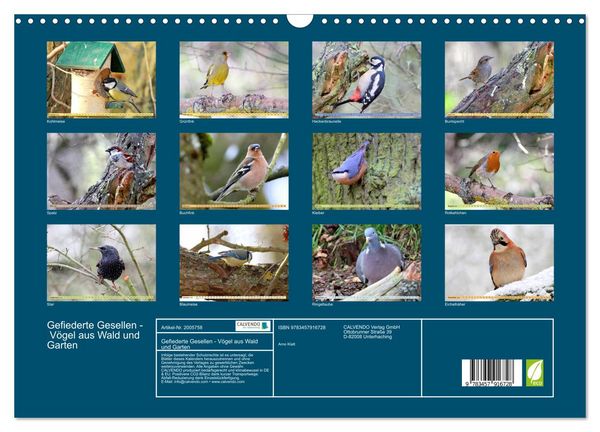Produktbild: Gefiederte Gesellen - V&ouml;gel aus Wald und Garten (Wandkalender 2026 DIN A3 quer), CALVENDO Monatskalender