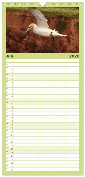 Produktbild: Familienplaner 2026 - Wilde Vogelwelt Helgoland mit 5 Spalten (Wandkalender, 21 x 45 cm) CALVENDO