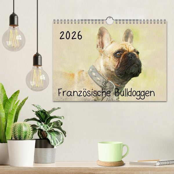 Produktbild: Franz&ouml;sische Bulldoggen 2026 (Wandkalender 2026 DIN A4 quer), CALVENDO Monatskalender