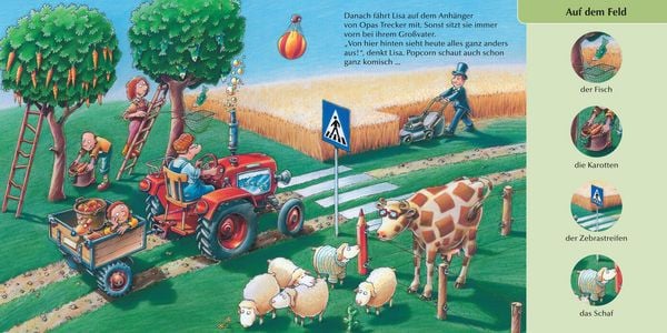 Produktbild: Was stimmt denn da nicht? (Pappbilderbuch)