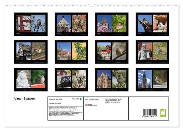 Produktbild: Ulmer Spatzen (hochwertiger Premium Wandkalender 2026 DIN A2 quer), Kunstdruck in Hochglanz