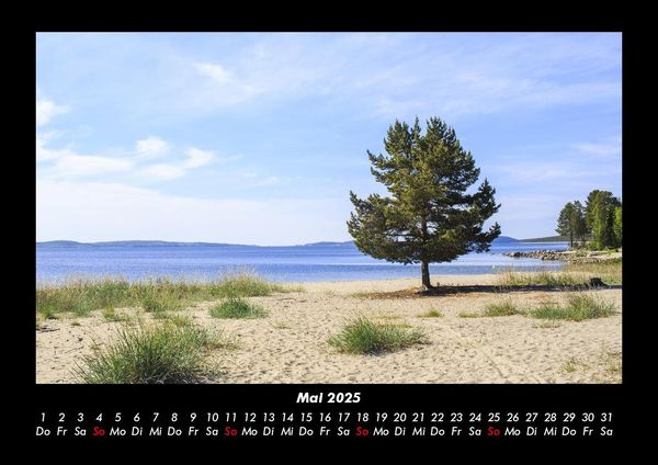 Produktbild: B&auml;ume 2025 Fotokalender DIN A3