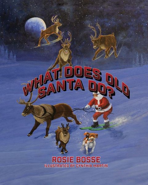 Produktbild: What Does Old Santa Do?
