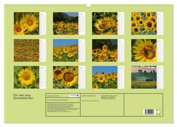 Produktbild: Ein Jahr lang Sonnenblumen (Wandkalender 2026 DIN A2 quer), CALVENDO Monatskalender