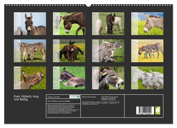 Produktbild: Esel. H&uuml;bsch, klug und flei&szlig;ig (hochwertiger Premium Wandkalender 2026 DIN A2 quer), Kunstdruck in Hochglanz