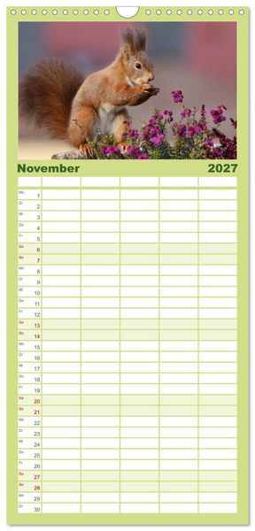 Produktbild: Familienplaner 2027 - Eichh&ouml;rnchen Momentaufnahmen f&uuml;rs Herz mit 5 Spalten (Wandkalender, 21 x 45 cm) CALVENDO