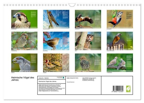 Produktbild: Heimische V&ouml;gel des Jahres (Wandkalender 2026 DIN A3 quer), CALVENDO Monatskalender