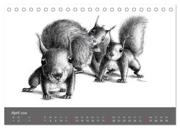 Produktbild: owls & friends 2026 (Tischkalender 2026 DIN A5 quer), CALVENDO Monatskalender