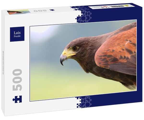 Lais Puzzle Wüstenbussard 500 Teile